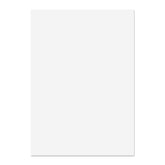 Blake Premium Business Paper A4 120gsm Ice White Wove (Pack 500) - 31677